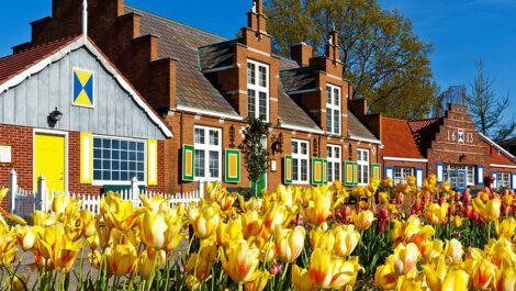 Tulip Time Festival in Holland, Michigan.