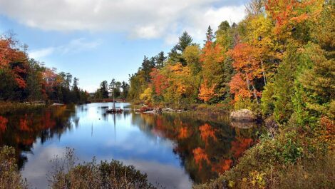 Fall trees next to a quiet lake.