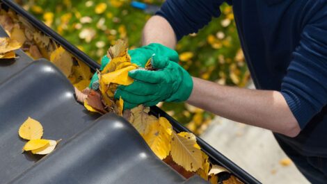 Person cleaning leaves out of a gutter.