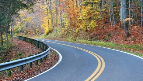 Windy road surrounded by fall trees.