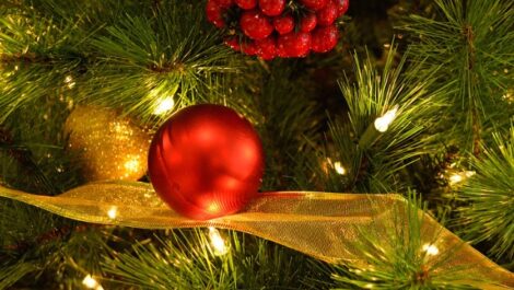 A decorative Christmas tree with a red ornament and white lights